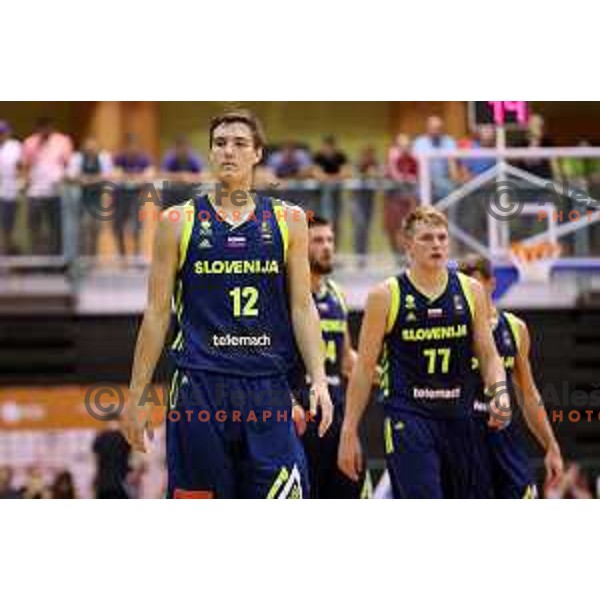 Jan Kosi of Slovenia in action during Adecco Cup basketball match between Slovenia and Czech Republic in Tabor Hall, Maribor, Slovenia on August 6, 2017