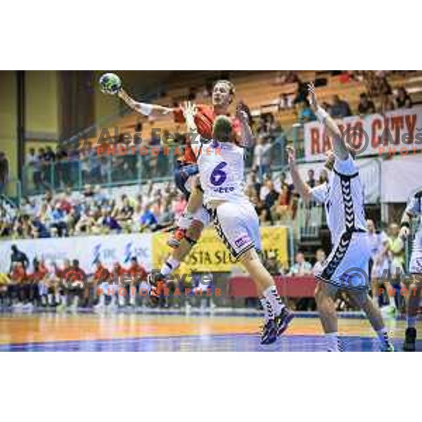 in action during friendly handball game between Maribor and Paris SG in Tabor Hall, Maribor, Slovenia on August 11, 2017