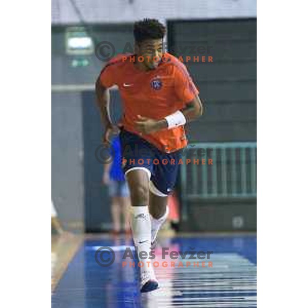 in action during friendly handball game between Maribor and Paris SG in Tabor Hall, Maribor, Slovenia on August 11, 2017