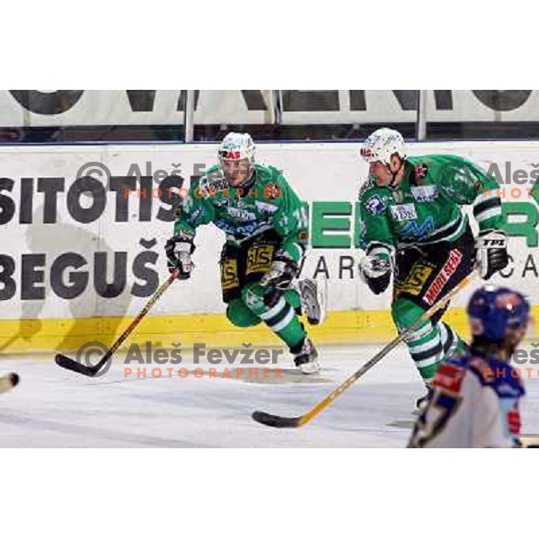 Music and Zupancic at match ZM Olimpija-VSV in Ebel league,played in Ljubljana (Slovenia) 30.11.2007. VSV won the match 3:1.Photo by Ales Fevzer 