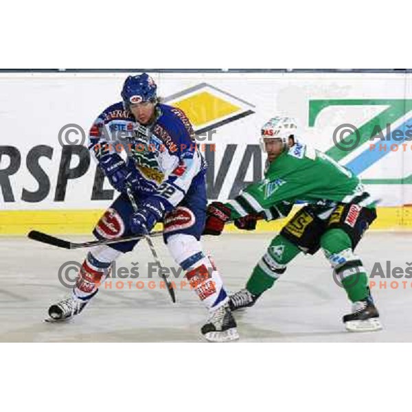 at match ZM Olimpija-VSV in Ebel league,played in Ljubljana (Slovenia) 30.11.2007. VSV won the match 3:1.Photo by Ales Fevzer 