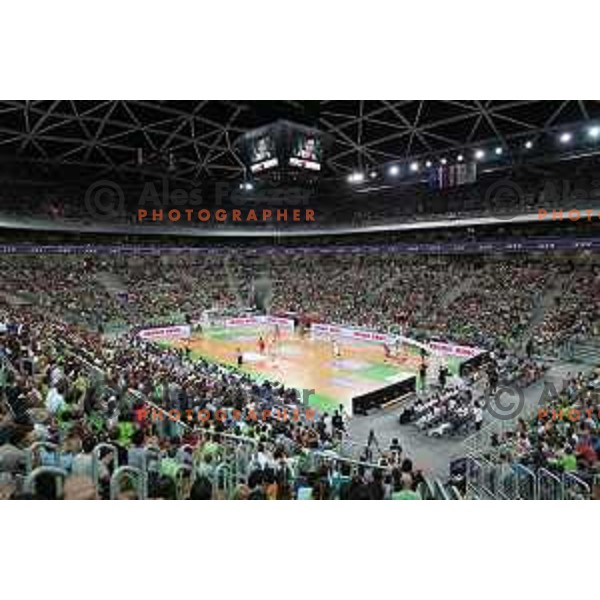 Fans of Slovenia in action during Telemach basketball match between Slovenia and Croatia in Stozice Arena, Ljubljana on August 24, 2017