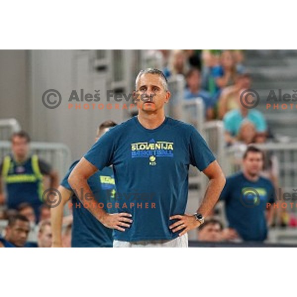Igor Kokoskov, head coach of Slovenia in action during Telemach basketball match between Slovenia and Croatia in Stozice Arena, Ljubljana on August 24, 2017