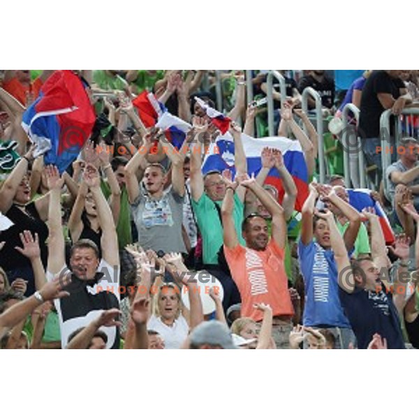 Fans of Slovenia in action during Telemach basketball match between Slovenia and Croatia in Stozice Arena, Ljubljana on August 24, 2017