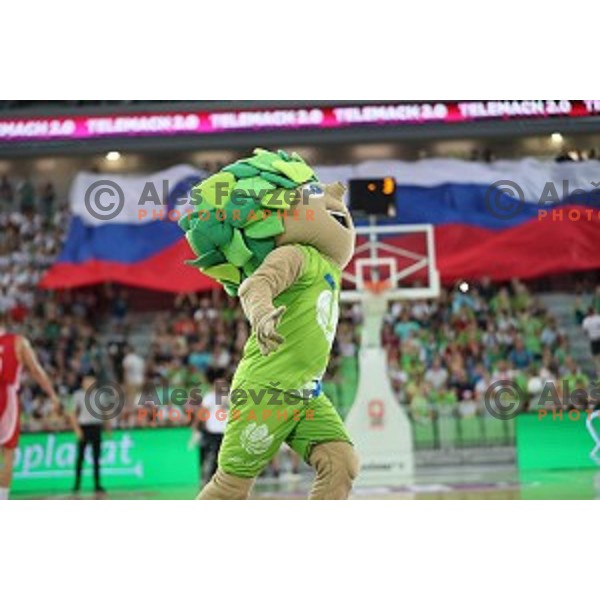 of Slovenia in action during Telemach basketball match between Slovenia and Croatia in Stozice Arena, Ljubljana on August 24, 2017