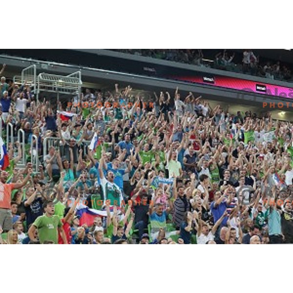 Fans of Slovenia in action during Telemach basketball match between Slovenia and Croatia in Stozice Arena, Ljubljana on August 24, 2017