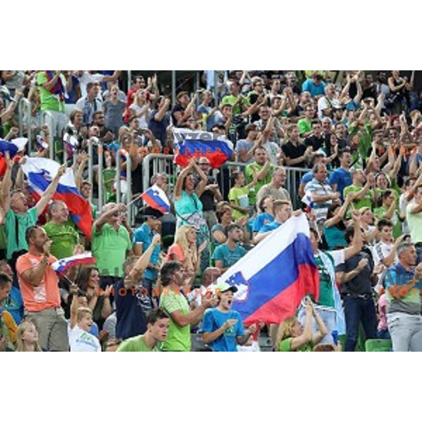 Fans of Slovenia in action during Telemach basketball match between Slovenia and Croatia in Stozice Arena, Ljubljana on August 24, 2017