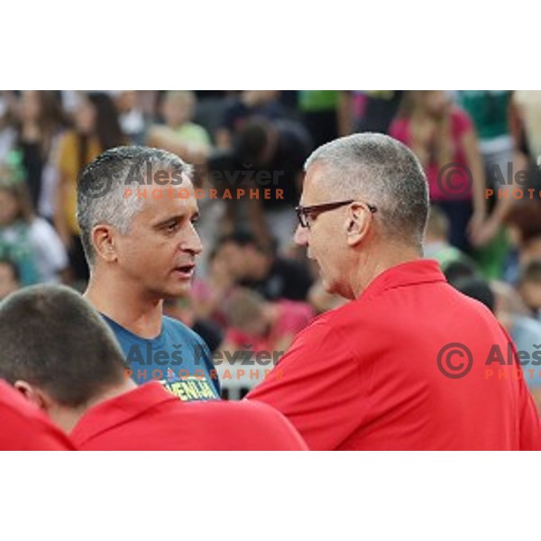 Igor Kokoskov, head coach of Slovenia and Aleksandar Petrovic, head coach of Croatia during Telemach basketball match between Slovenia and Croatia in Stozice Arena, Ljubljana on August 24, 2017