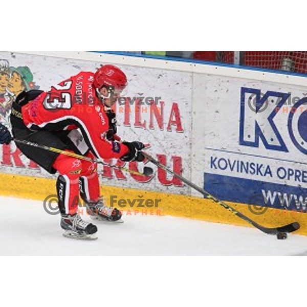 of Jesenice in action during Alps League ice-hockey match between Jesenice and Asiago in Podmezakla Hall, Jesenice, Slovenia on September 13, 2017