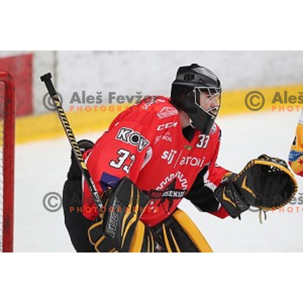 Clarke Saunders of Jesenice in action during Alps League ice-hockey match between Jesenice and Asiago in Podmezakla Hall, Jesenice, Slovenia on September 13, 2017