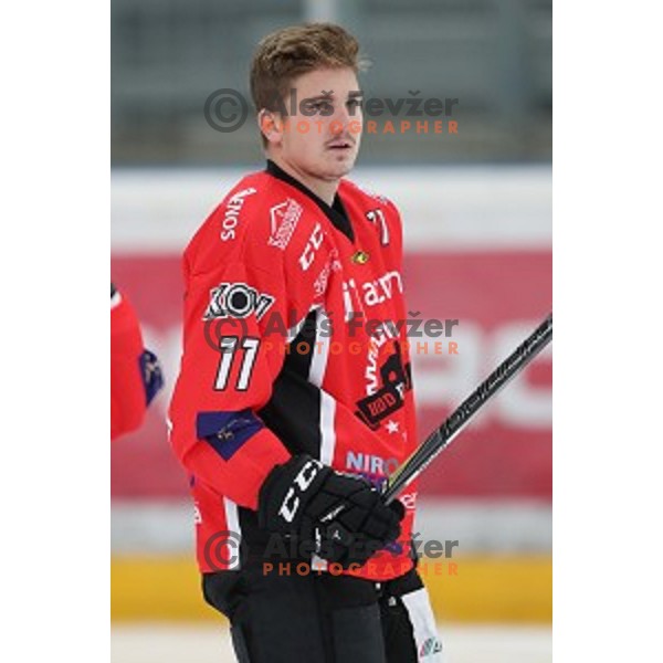 Luka Kalan of Jesenice in action during Alps League ice-hockey match between Jesenice and Asiago in Podmezakla Hall, Jesenice, Slovenia on September 13, 2017