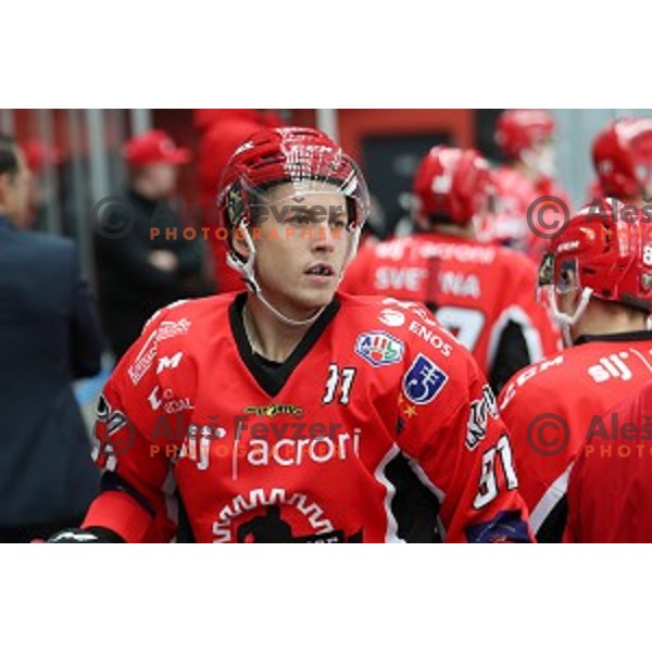 of Jesenice in action during Alps League ice-hockey match between Jesenice and Asiago in Podmezakla Hall, Jesenice, Slovenia on September 13, 2017