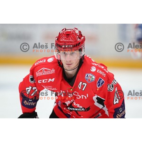 of Jesenice in action during Alps League ice-hockey match between Jesenice and Asiago in Podmezakla Hall, Jesenice, Slovenia on September 13, 2017