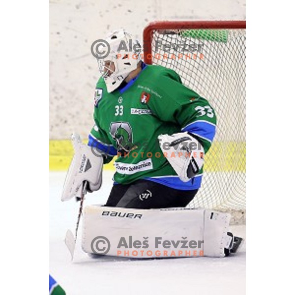 of Olimpija in action during Alps league 2017/2018 ice-hockey match between Olimpija and Ritten in Tivoli Hall, Ljubljana, Slovenia on September 13, 2017