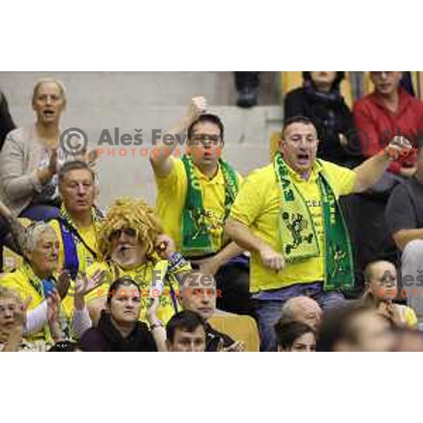 Fans of Celje PL in action during Velux EHF Champions League match between Celje Pivovarna Lasko (Slovenia) and Veszprem (Hungary) in Zlatorog Hall, Celje, Slovenia on September 16, 2017