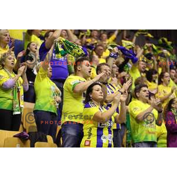 Fans of Celje PL in action during Velux EHF Champions League match between Celje Pivovarna Lasko (Slovenia) and Veszprem (Hungary) in Zlatorog Hall, Celje, Slovenia on September 16, 2017