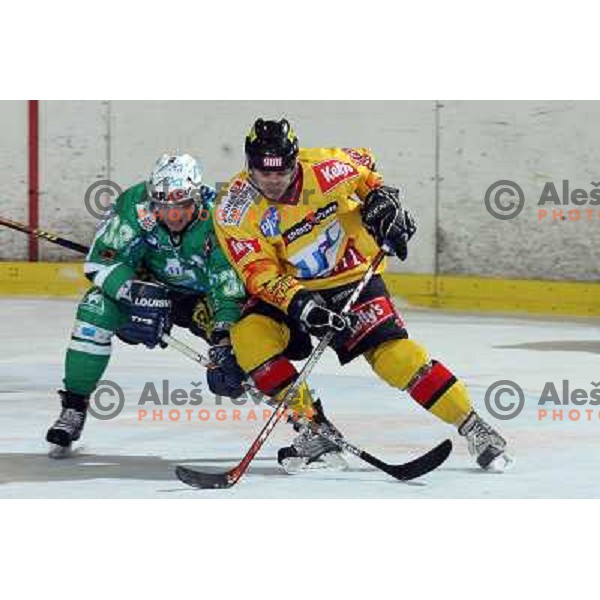 Felsner (38) at ice-hockey match ZM Olimpija-Vienna Capitals in Ebel league, played in Ljubljana, Slovenia 7.12.2007. Photo by Ales Fevzer 