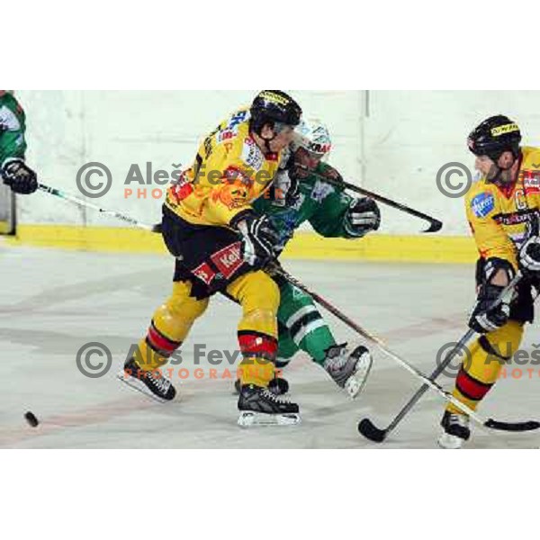 Altmann holds Music at ice-hockey match ZM Olimpija-Vienna Capitals in Ebel league, played in Ljubljana, Slovenia 7.12.2007. Photo by Ales Fevzer 