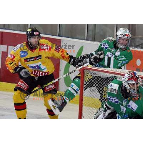 Avgustincic (21) at ice-hockey match ZM Olimpija-Vienna Capitals in Ebel league, played in Ljubljana, Slovenia 7.12.2007. Photo by Ales Fevzer 