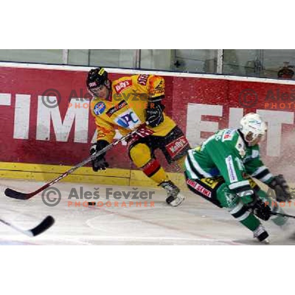 Marcel Rodman at ice-hockey match ZM Olimpija-Vienna Capitals in Ebel league, played in Ljubljana, Slovenia 7.12.2007. Photo by Ales Fevzer 