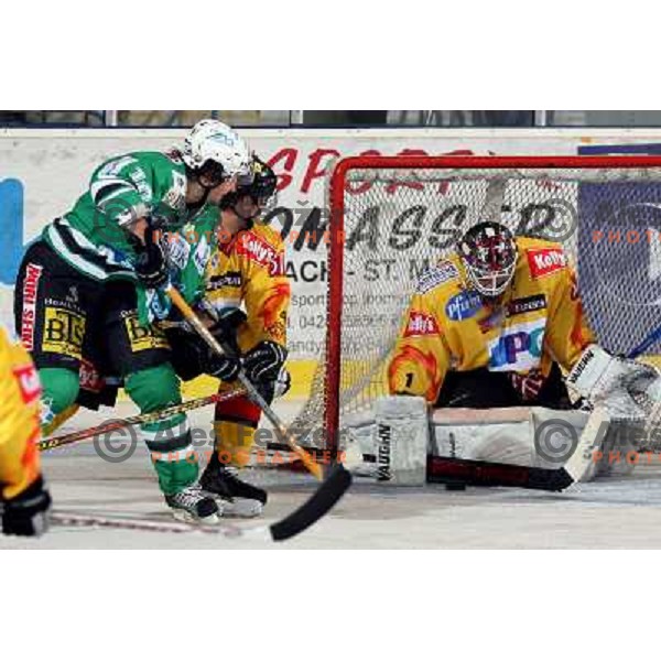 Yarema at ice-hockey match ZM Olimpija-Vienna Capitals in Ebel league, played in Ljubljana, Slovenia 7.12.2007. Photo by Ales Fevzer 