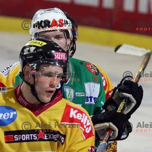 Tavzelj at ice-hockey match ZM Olimpija-Vienna Capitals in Ebel league, played in Ljubljana, Slovenia 7.12.2007. Photo by Ales Fevzer 