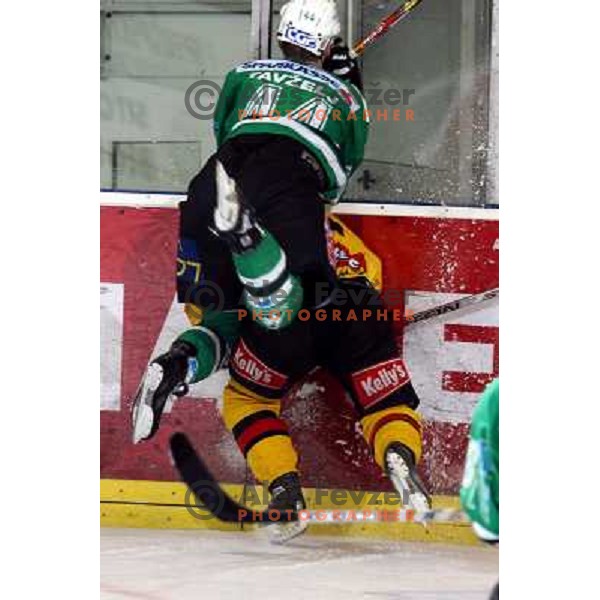 Tavzelj at ice-hockey match ZM Olimpija-Vienna Capitals in Ebel league, played in Ljubljana, Slovenia 7.12.2007. Photo by Ales Fevzer 