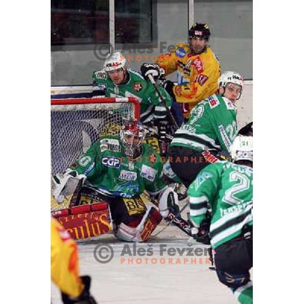 Westlund, Mitchell, Kuznik at ice-hockey match ZM Olimpija-Vienna Capitals in Ebel league, played in Ljubljana, Slovenia 7.12.2007. Photo by Ales Fevzer 