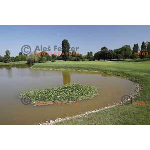 Montecchia golf course conists of 27 holes in Euganean Hills - Colli Euganei group of golf courses near Padova, Italy on August 31, 2017