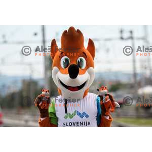 Foksi at the press conference of the Slovenian Olympic committee during the European week of sports in Ljubljana, Slovenia on September 22,2017