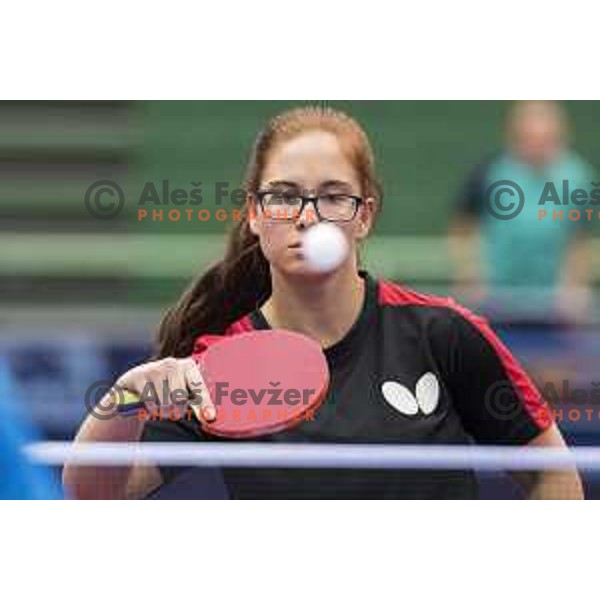 in action during European Table Tennis Championships for the Disabled EPINT 2017 in Tri Lilije Hall, Lasko, Slovenia on September 28, 2017 
