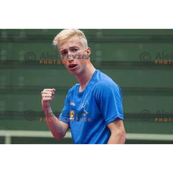 Luka Trtnik in action during European Table Tennis Championships for the Disabled EPINT 2017 in Tri Lilije Hall, Lasko, Slovenia on September 28, 2017 