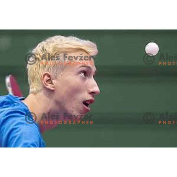 Luka Trtnik in action during European Table Tennis Championships for the Disabled EPINT 2017 in Tri Lilije Hall, Lasko, Slovenia on September 28, 2017 