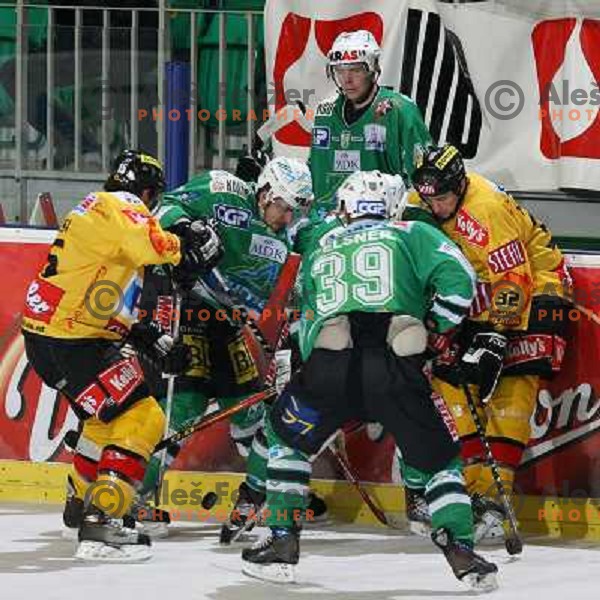 Felsner at ice-hockey match ZM Olimpija-Vienna Capitals in Ebel league, played in Ljubljana, Slovenia 7.12.2007. Photo by Ales Fevzer 