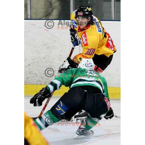 David Rodman at ice-hockey match ZM Olimpija-Vienna Capitals in Ebel league, played in Ljubljana, Slovenia 7.12.2007. Photo by Ales Fevzer 