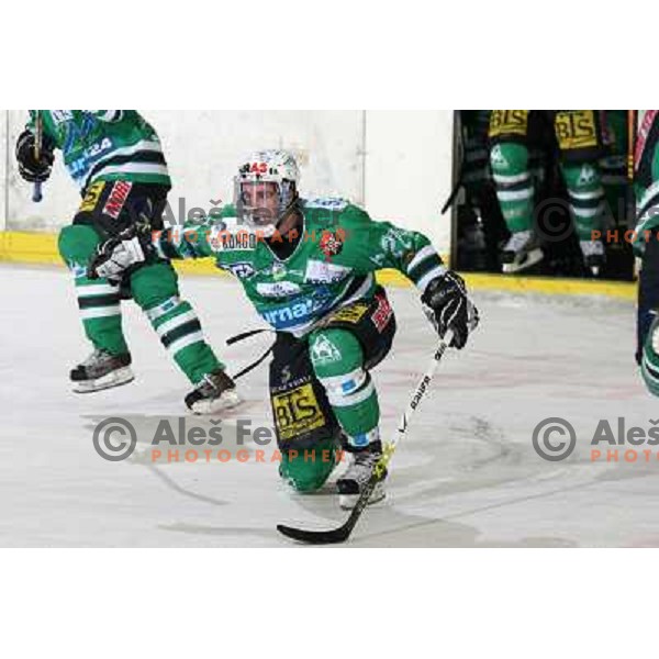 Avgustincic at ice-hockey match ZM Olimpija-Vienna Capitals in Ebel league, played in Ljubljana, Slovenia 7.12.2007. Photo by Ales Fevzer 