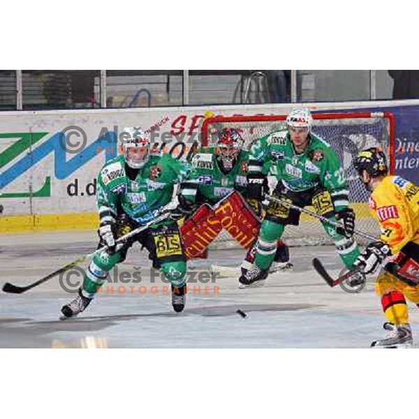 Avgustincic, Westlund,Kuznik and Fairchild at ice-hockey match ZM Olimpija-Vienna Capitals in Ebel league, played in Ljubljana, Slovenia 7.12.2007. Photo by Ales Fevzer 