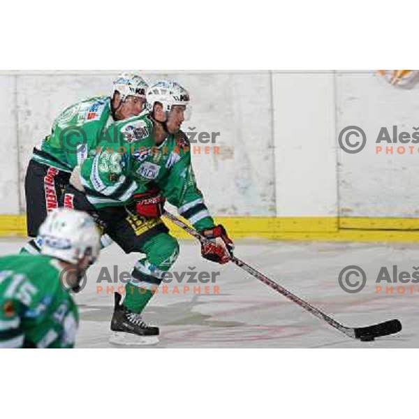 Felsner at ice-hockey match ZM Olimpija-Vienna Capitals in Ebel league, played in Ljubljana, Slovenia 7.12.2007. Photo by Ales Fevzer 