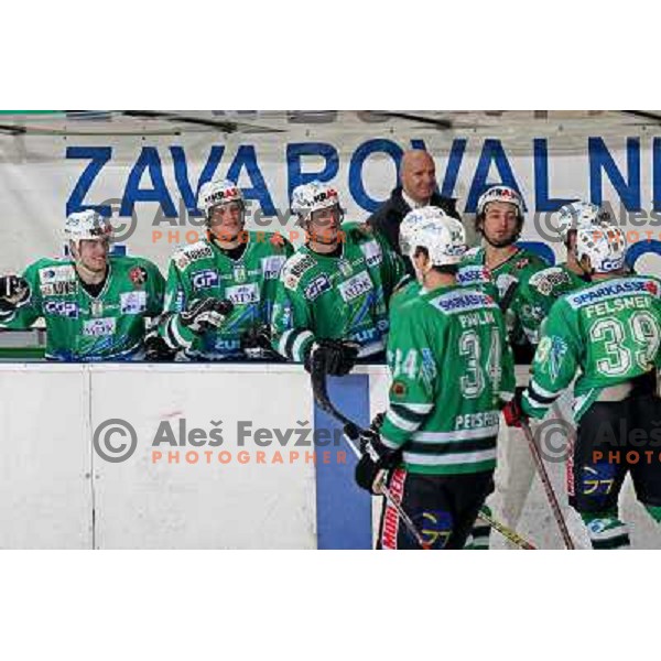 Celebration of winning goal at ice-hockey match ZM Olimpija-Vienna Capitals in Ebel league, played in Ljubljana, Slovenia 7.12.2007. Photo by Ales Fevzer 