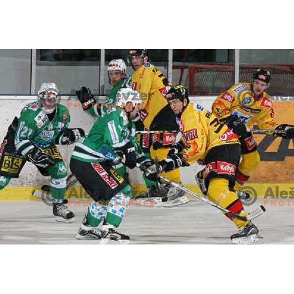 Mitchell and Rheaume at ice-hockey match ZM Olimpija-Vienna Capitals in Ebel league, played in Ljubljana, Slovenia 7.12.2007. Photo by Ales Fevzer 