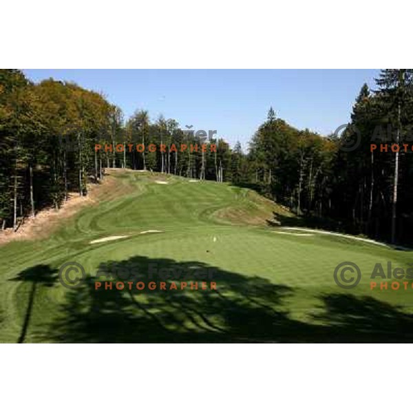 Green of 6th hole, Otocec golf course 