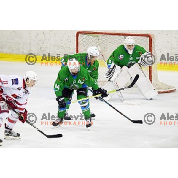of SZ Olimpija in action during Alps League ice-hockey match between SZ Olimpija and KAC 2 in Tivoli Hall, Ljubljana, Slovenia on October 4, 2017