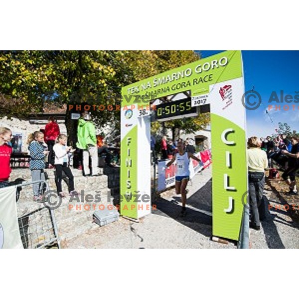 during the 38.Smarna gora race, WMRA World Cup Final, 07.10.2017 , Smarna Gora, Ljubljana, Slovenia