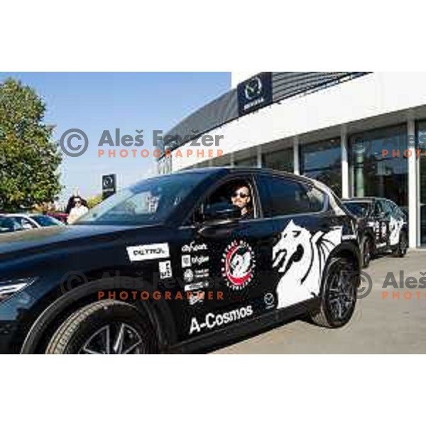 Players of Petrol Olimpija receiving keys of Mazda cars in A-Cosmos shop in Ljubljana, Slovenia on October 13, 2017