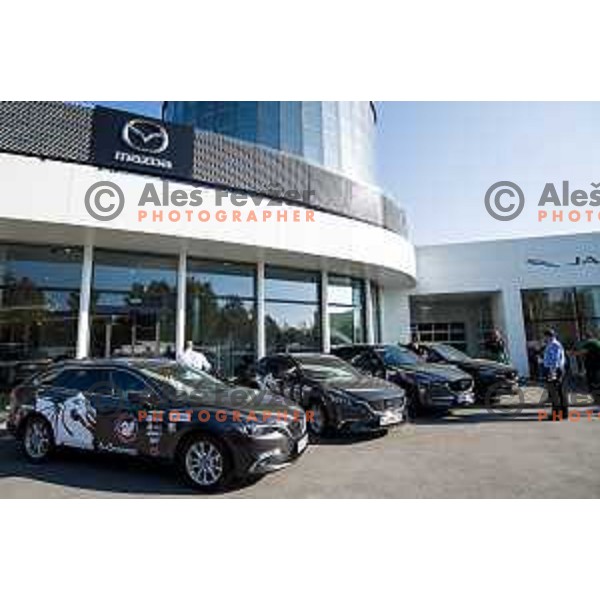 Players of Petrol Olimpija receiving keys of Mazda cars in A-Cosmos shop in Ljubljana, Slovenia on October 13, 2017