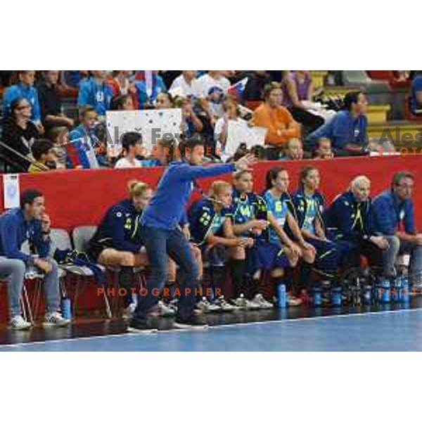 Uros Bregar , head caoch of Krim in action during EHF Womens champions league match between Krim Mercator and Nykobing in Ljubljana, Slovenia on October 14, 2017