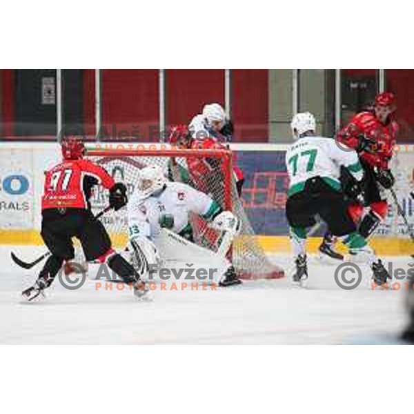 Robert Kristan of SZ Olimpija in action during Alps League ice-hockey match between SIJ Acroni Jesenice and SZ Olimpija in Podmezakla Hall, Jesenice, Slovenia on October 14, 2017