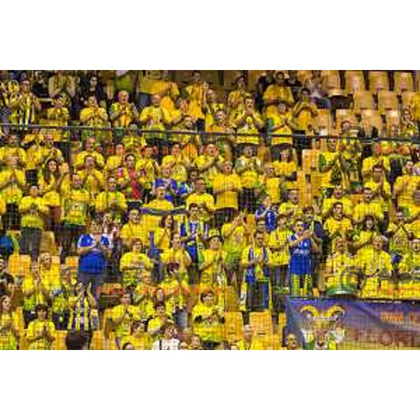Celje\'s fans Florijani in action during EHF Champions League match between Celje PL (Slovenia) and Meshkov Brest (Belarus) in Zlatorog Hall, Celje on October 14th, 2017