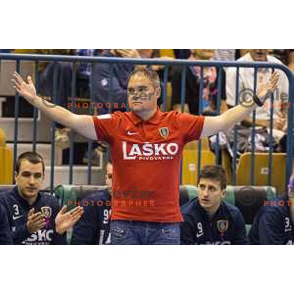 Celje’s head coach Branko Tamse in action during EHF Champions League match between Celje PL (Slovenia) and Meshkov Brest (Belarus) in Zlatorog Hall, Celje on October 14th, 2017