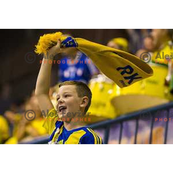 Celje fan in action during EHF Champions League match between Celje PL (Slovenia) and Meshkov Brest (Belarus) in Zlatorog Hall, Celje on October 14th, 2017